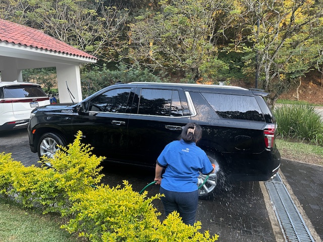 limpieza de autos